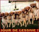 aller